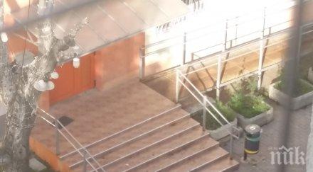 сигнал пик косъм трагедия изсъхнало дърво уби деца софия снимки