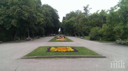 грешка проектирането спря ремонта западен парк