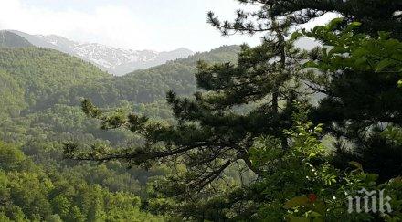 полиция пожарна алпинисти издирват изчезнала жена смолянско