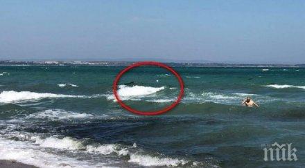 извадиха полумъртъв мъж морето слънчев бряг