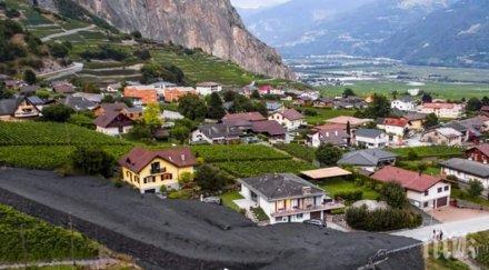 чудото интернет спасиха алпийцо селце изчезване благодарение социалните мрежи