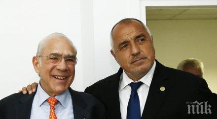 първо пик важни новини борисов познан българия засилва работата организацията икономическо сътрудничество развитие снимки