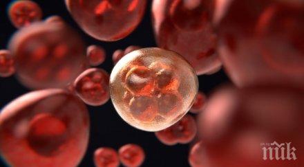 ново изследване множествената склероза увеличава риска рак