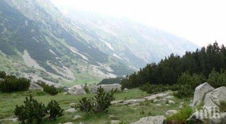 скандалната швейцарска офшорка wwf бърка управлението парк пирин