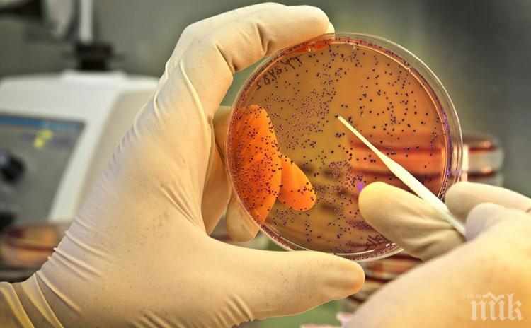 Дете почина от Ешерихия коли