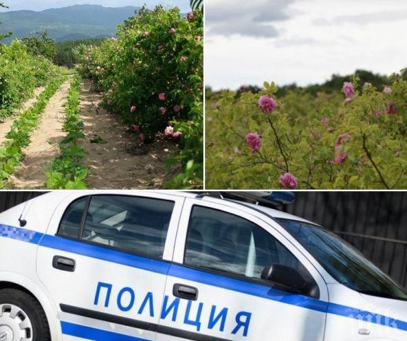 ЕКШЪН: Розопроизводител в Карловско нападна и преби жена, едва не я закла с острие на коса