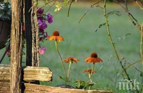 ЗВЕЗДИТЕ ГОВОРЯТ: Ще бъдем емоционални и раними - алчността и завистта се наказват