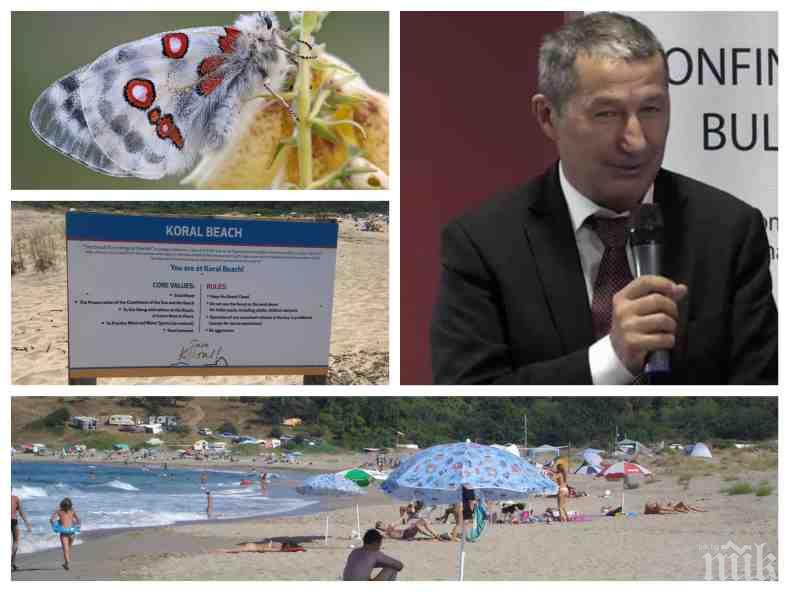 ЛЯТНА ИРОНИЯ! Каролев избухна за ръчното заплождане на пеперуди Червен аполон срещу милиони и съсипа Зелените за незаконните еко плажове на морето