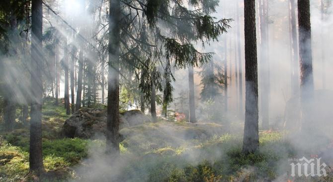 ВНИМАНИЕ: Обявиха екстремален индекс за опасност от пожари в Добричко