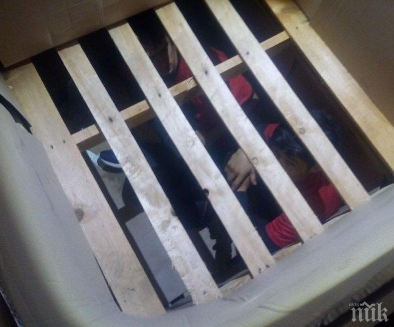 Удар на ГКПП-Кулата: Откриха 5-ма нелегални мигранти, скрити под... дини  (СНИМКИ)