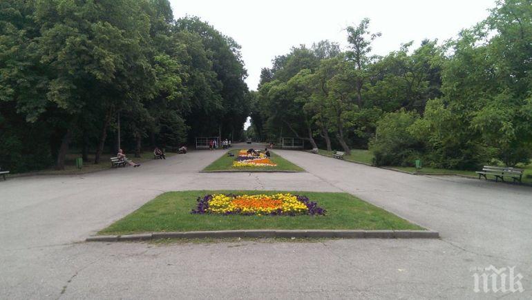 Грешка при проектирането спря ремонта на Западен парк