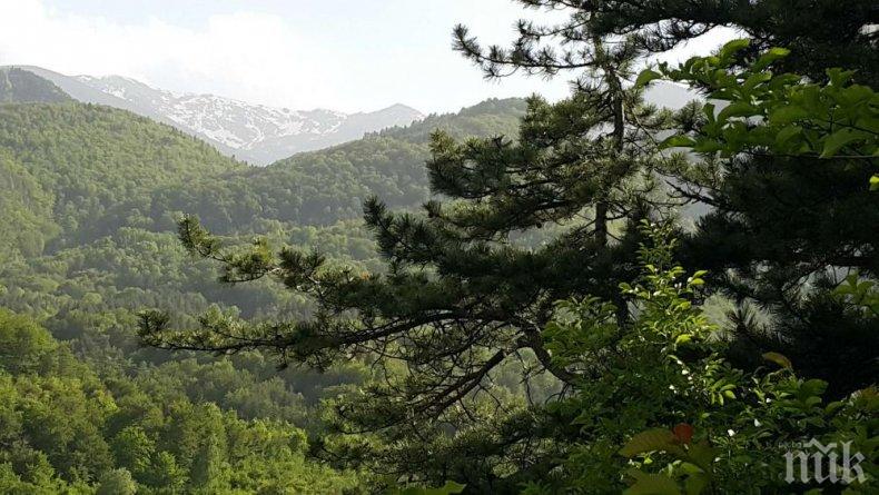 Полиция, пожарна и алпинисти издирват изчезнала жена в Смолянско