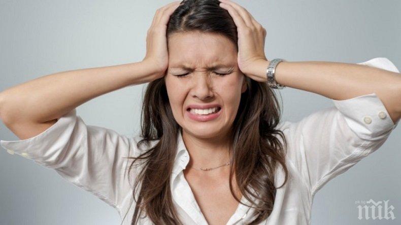 Откриха центъра на любовта в мозъка