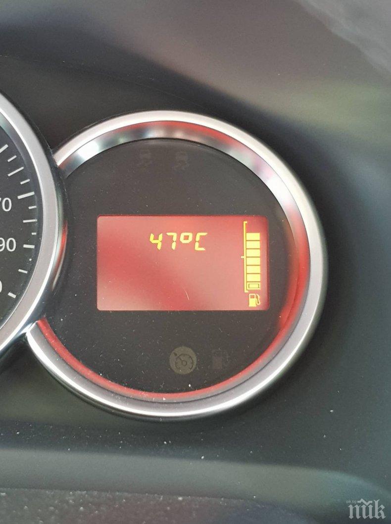 Лекар предупреди: Внимавайте с алкохола и кафето в жегите