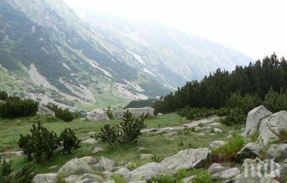 Скандалната швейцарска офшорка WWF се бърка в управлението на парк „Пирин“