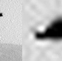 НЕВЕРОЯТНО: Заснеха птица на Марс (ВИДЕО)