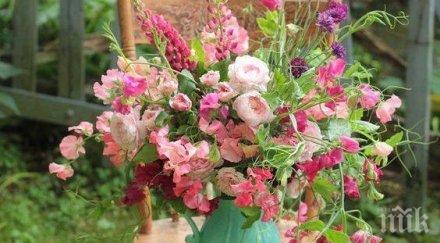 звездите говорят ограничете контактите избягвайте спорове