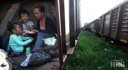 мексиканските власти задържаха 228 мигранти страни централна америка