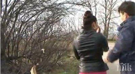 прославихме немска телевизия снима българските проститутки бранденбург видео