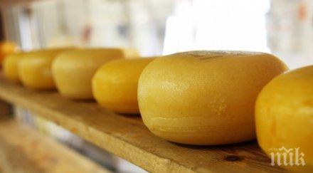 микробиолог правете компромиси здравето сиренето менте нас увеличава