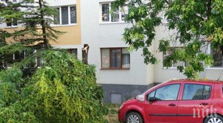 страшна буря мина благоевград стихията пречупи изкорени дървета потрошени коли