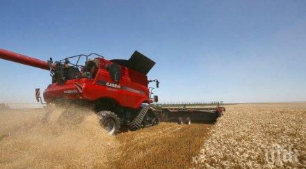 земеделският министър лично даде старт жътвата село монтанско снимка