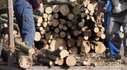 трагедия враца дънер уби годишно момче