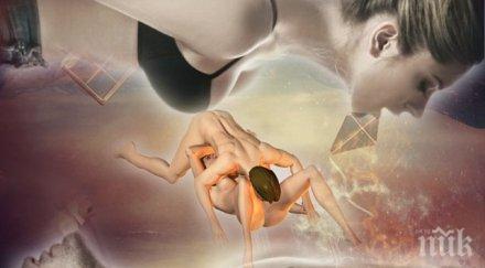 деветте тайни позата