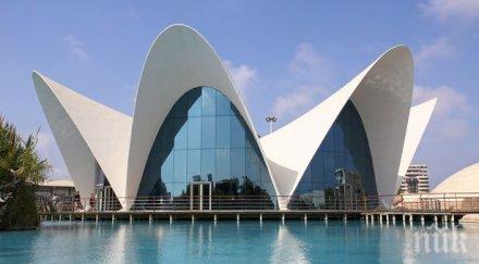 евакуираха големия океанариум европа заради пожар видео снимка