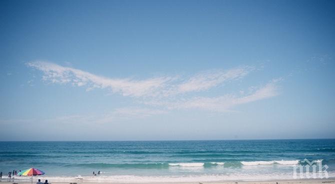 УЖАС НА ПЛАЖА: Морето изхвърли трупове на крави край Ахтопол и Обзор (СНИМКА)