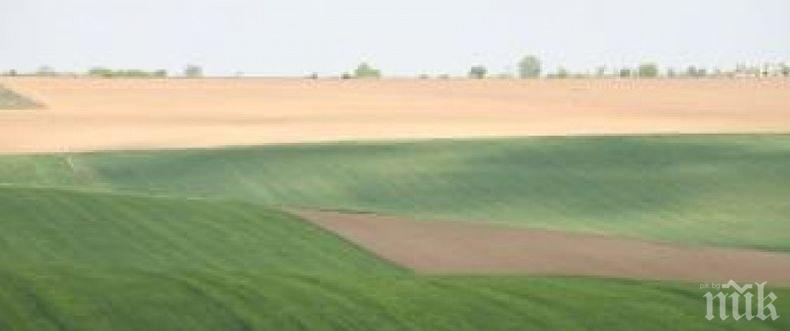 Тенденции: Земите в Северозапада стават все по-атрактивни