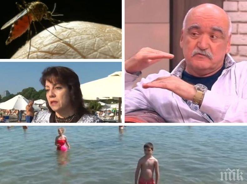 ЕКСПЕРТ СЪВЕТВА: Как да се предпазим от морските вируси и първа помощ в критични летни ситуации