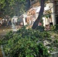 Външно с нови подробности за ужаса на Халкидики - бурята наводнила къщата на българка, тя се скрила в автомобил (ВИДЕО)