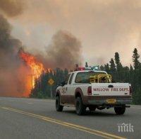 КЛИМАТЪТ ПОЛУДЯ: Пожари и рекордни жеги в Аляска