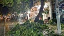 Външно с нови подробности за ужаса на Халкидики - бурята наводнила къщата на българка, тя се скрила в автомобил (ВИДЕО)