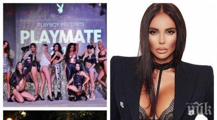 горещо пик новата реколта плеймейтки михаела стоичкова културистка бъдещ политик спор короната николета яки снимки