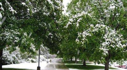 сняг заваля юли румъния