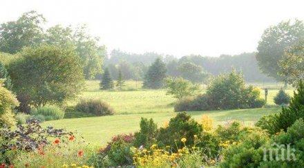 звездите говорят денят благоприятен любов творчество духовно търсене въздържайте прояви гняв