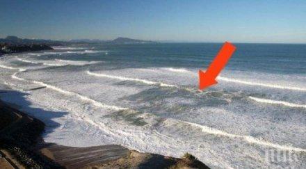 опасно мъртвак дебне летовниците южните плажове