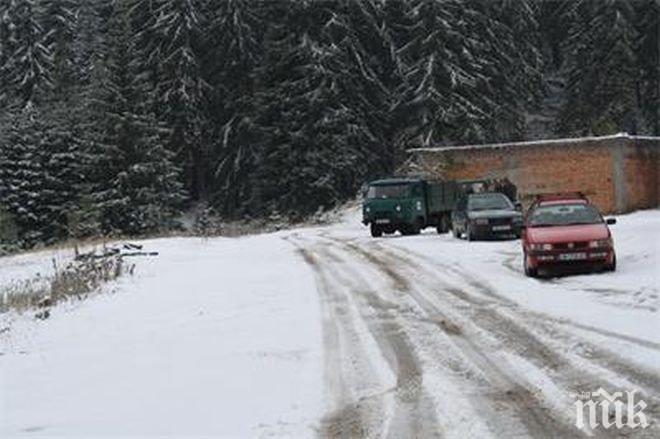 Жълт код за значителни снеговалежи е в сила за 14 окръга на Румъния