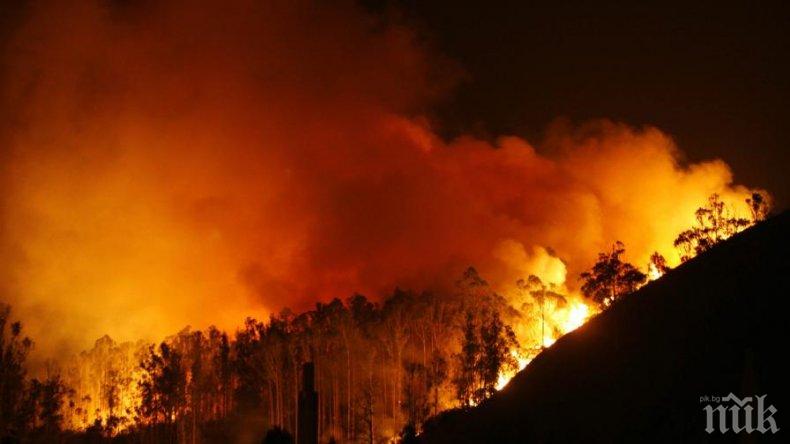 БЕДСТВИЕ: Евакуираха жителите на село в Гърция заради голям горски пожар (СНИМКА)