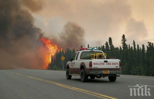 КЛИМАТЪТ ПОЛУДЯ: Пожари и рекордни жеги в Аляска