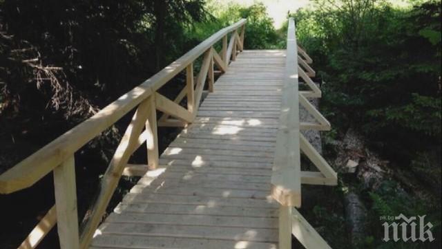 ДОБРА ВОЛЯ: Горски служители строят безвъзмездно мостове на Витоша