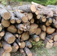 Търсенето на дърва скочило два пъти