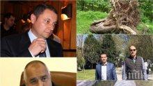 ЕКСКЛУЗИВНО В ПИК - Яне Янев за незаконната сеч в Сандански: Вярвам, че Борисов ще се справи успешно с феодалите и самозабравилите се местни тарикати