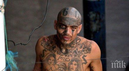 членове страшната групировка мара салватруча изтръгнаха сърцето конкурент