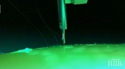 илон мъск тества интерфейс свързващ мозъка компютри