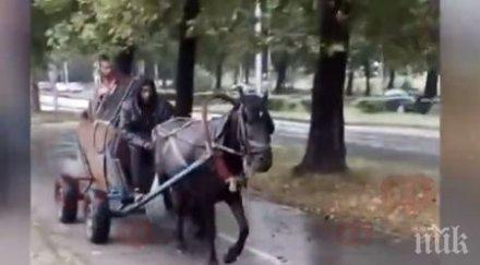 велоалеите сливен станаха каруцоалеи