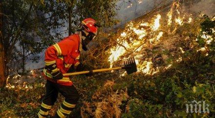 евакуираха хиляди къмпингуващи заради пожар франция