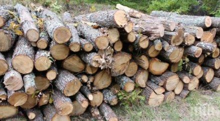 дървата огрев ценови рекорд